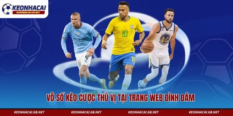 Vô số kèo cược thú vị tại trang web đình đám Vô số kèo cược thú vị tại trang web đình đám